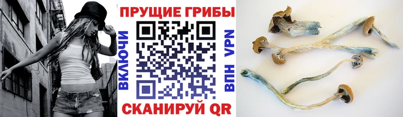 Галлюциногенные грибы мицелий  даркнет сайт  Керчь 